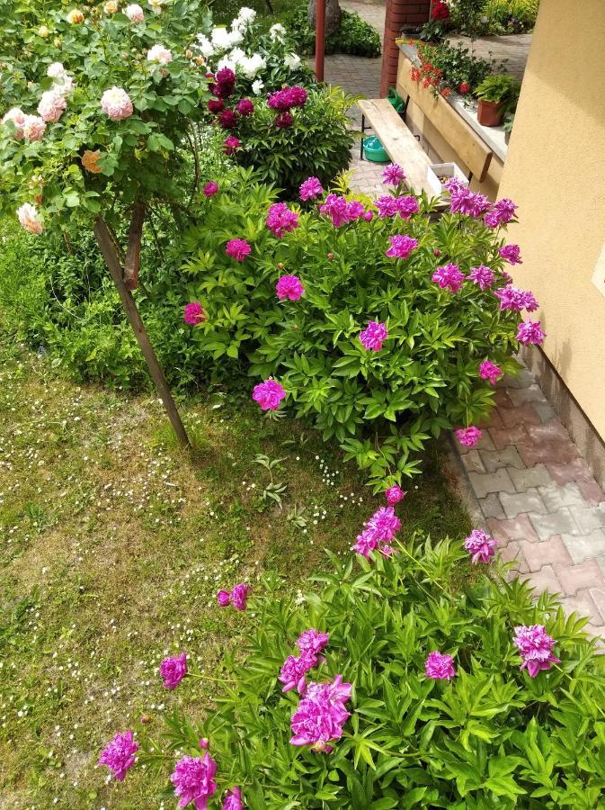 Apartament W Domu Na Wsi Tomaszów Lubelski Exterior foto